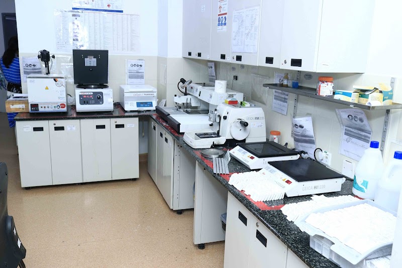 Apex PathLabs- Gomti Nagar, Lucknow photo 1